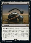 【JPN】外科的摘出/Surgical Extraction[MTG_2X2_094R]