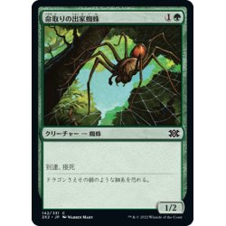 画像1: 【JPN】命取りの出家蜘蛛/Deadly Recluse[MTG_2X2_142C]