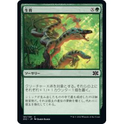 画像1: 【JPN】生育/Thrive[MTG_2X2_161C]