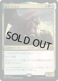 【JPN】龍王ドロモカ/Dragonlord Dromoka[MTG_2X2_202M]