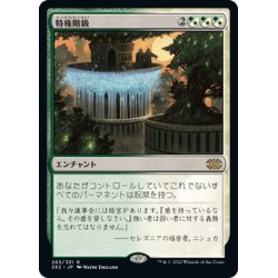 画像1: 【JPN】特権階級/Privileged Position[MTG_2X2_263R]