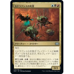 画像1: 【JPN】セドラクシスの死霊/Sedraxis Specter[MTG_2X2_273U]