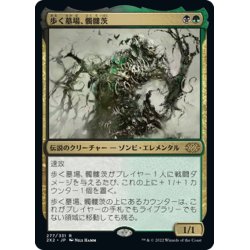 画像1: 【JPN】歩く墓場、髑髏茨/Skullbriar, the Walking Grave[MTG_2X2_277R]