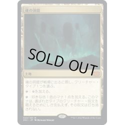 画像1: 【JPN】魂の洞窟/Cavern of Souls[MTG_2X2_320M]