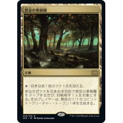 画像1: 【JPN】禁忌の果樹園/Forbidden Orchard[MTG_2X2_323R]