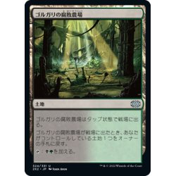 画像1: 【JPN】ゴルガリの腐敗農場/Golgari Rot Farm[MTG_2X2_324U]