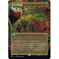 画像1: 【JPN】禁忌の果樹園/Forbidden Orchard[MTG_2X2_405R]