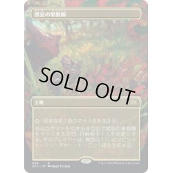 画像1: 【JPN】禁忌の果樹園/Forbidden Orchard[MTG_2X2_405R]