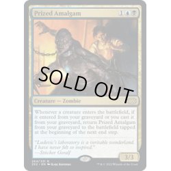 画像1: 【ENG】秘蔵の縫合体/Prized Amalgam[MTG_2X2_264R]