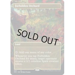 画像1: 【ENG】禁忌の果樹園/Forbidden Orchard[MTG_2X2_405R]