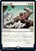 【JPN】鍛えられた鋼/Tempered Steel[MTG_2XM_034R]