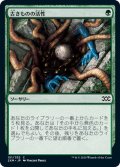 【JPN】古きものの活性/Ancient Stirrings[MTG_2XM_151C]