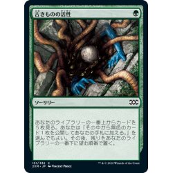 画像1: 【JPN】古きものの活性/Ancient Stirrings[MTG_2XM_151C]