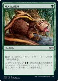 【JPN】リスのお喋り/Chatter of the Squirrel[MTG_2XM_157C]