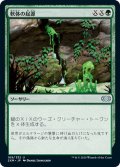 【JPN】軟体の起源/Gelatinous Genesis[MTG_2XM_169U]