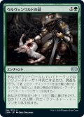 【JPN】ウルヴェンワルドの謎/Ulvenwald Mysteries[MTG_2XM_184U]