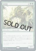 【JPN】復讐蔦/Vengevine[MTG_2XM_185M]