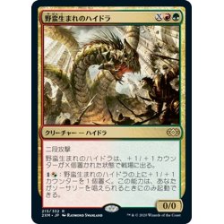 画像1: 【JPN】野蛮生まれのハイドラ/Savageborn Hydra[MTG_2XM_215R]