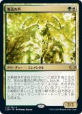 【JPN】復活の声/Voice of Resurgence[MTG_2XM_227R]