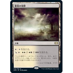 画像1: 【JPN】悪臭の荒野/Fetid Heath[MTG_2XM_316R]