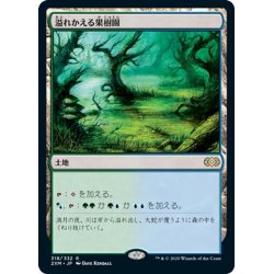 画像1: 【JPN】溢れかえる果樹園/Flooded Grove[MTG_2XM_318R]