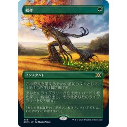 画像1: 【JPN】輪作/Crop Rotation[MTG_2XM_349R]