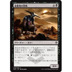 画像1: 【JPN】遺棄地の恐怖/Horror of the Broken Lands[MTG_A25_093C]