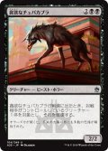 【JPN】貪欲なチュパカブラ/Ravenous Chupacabra[MTG_A25_104U]