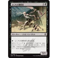 【JPN】よじれた嫌悪者/Twisted Abomination[MTG_A25_111C]