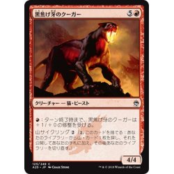 画像1: 【JPN】黒焦げ牙のクーガー/Chartooth Cougar[MTG_A25_125C]