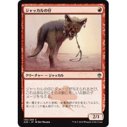 画像1: 【JPN】ジャッカルの仔/Jackal Pup[MTG_A25_139C]