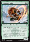 【JPN】アイノクの生き残り/Ainok Survivalist[MTG_A25_157C]