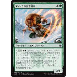 画像1: 【JPN】アイノクの生き残り/Ainok Survivalist[MTG_A25_157C]