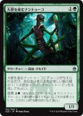 【JPN】大群を産むナントゥーコ/Broodhatch Nantuko[MTG_A25_162U]