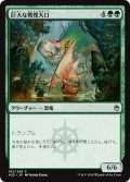 【JPN】巨大な戦慄大口/Colossal Dreadmaw[MTG_A25_163C]