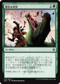 【JPN】勇壮な対決/Epic Confrontation[MTG_A25_170C]