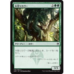 画像1: 【JPN】木登りカヴー/Kavu Climber[MTG_A25_175C]