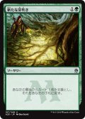 【JPN】新たな芽吹き/Regrowth[MTG_A25_187U]