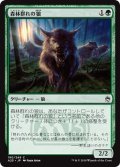 【JPN】森林群れの狼/Timberpack Wolf[MTG_A25_190C]