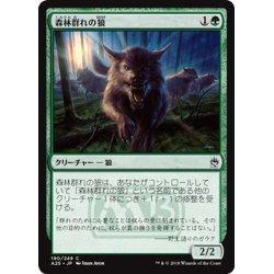 画像1: 【JPN】森林群れの狼/Timberpack Wolf[MTG_A25_190C]