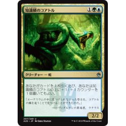 画像1: 【JPN】知識鱗のコアトル/Lorescale Coatl[MTG_A25_207U]