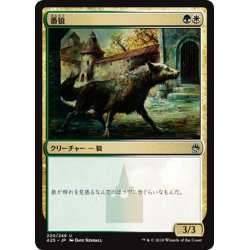 画像1: 【JPN】番狼/Watchwolf[MTG_A25_220U]