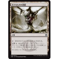 【JPN】生けるものの洞窟/Zoetic Cavern[MTG_A25_249U]