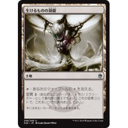 画像1: 【JPN】生けるものの洞窟/Zoetic Cavern[MTG_A25_249U]