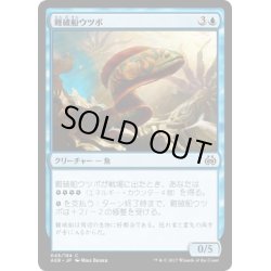 画像1: 【JPN】難破船ウツボ/Shipwreck Moray[MTG_AER_045C]