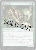 【JPN】霊気流の豹/Aetherstream Leopard[MTG_AER_103C]