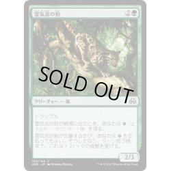 画像1: 【JPN】霊気流の豹/Aetherstream Leopard[MTG_AER_103C]