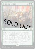 【JPN】僧帽地帯からの援軍/Aid from the Cowl[MTG_AER_105R]