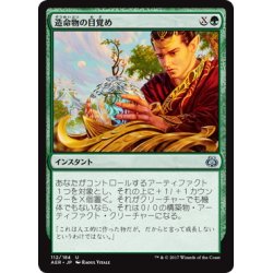 画像1: 【JPN】造命物の目覚め/Lifecraft Awakening[MTG_AER_112U]