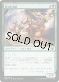 【JPN】造命物騎兵/Lifecraft Cavalry[MTG_AER_113C]